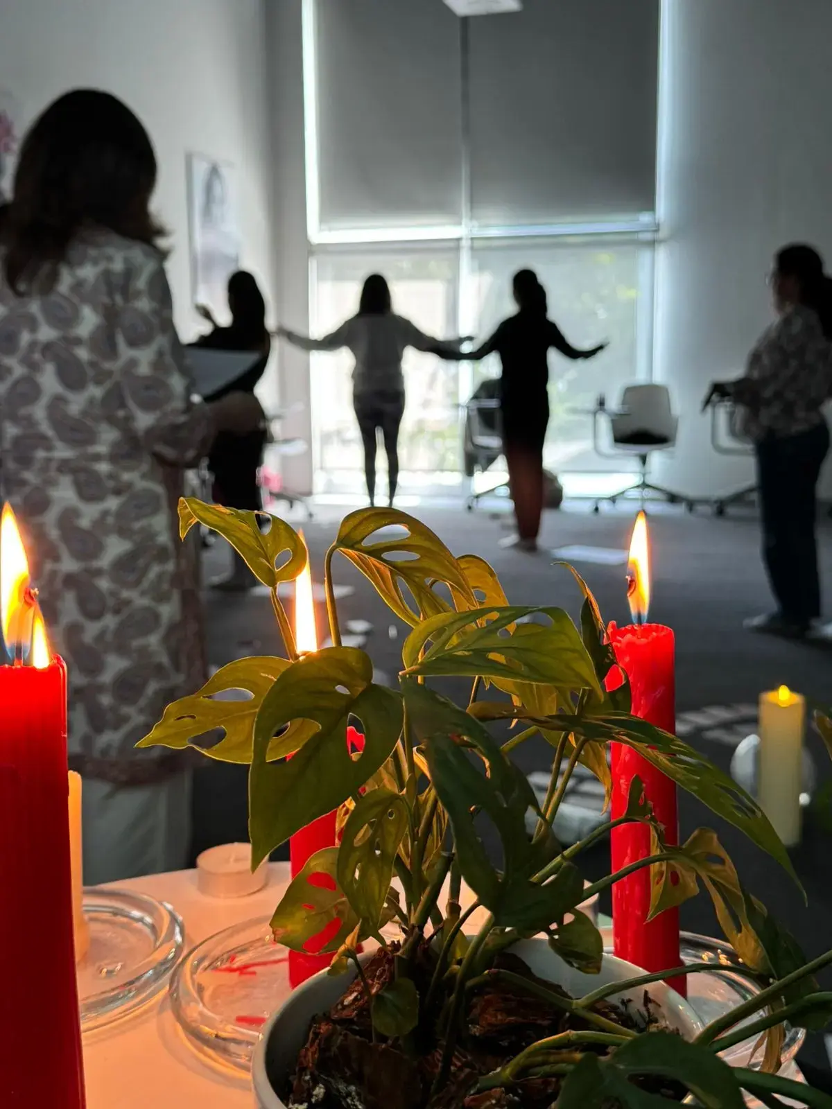Comunidad de Casa Dalia