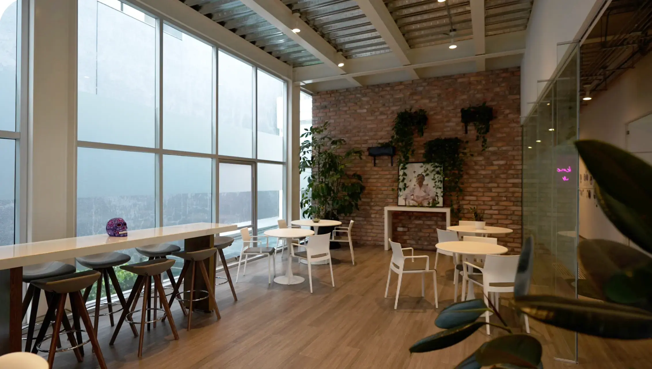 Interior Casa Dalia